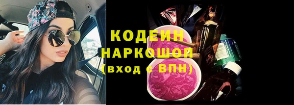 гидра Осинники