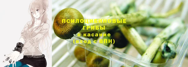 гидра Осинники