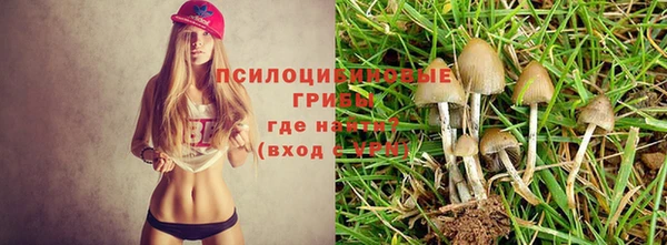 гидра Осинники
