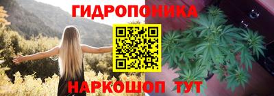 гидра Волжский