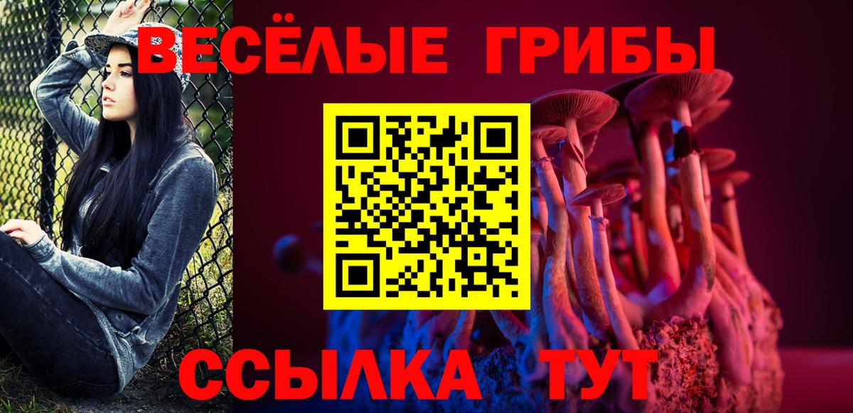 Псилоцибиновые грибы мухоморы  Волжск  купить   Псилоцибиновые грибы прущие грибы 