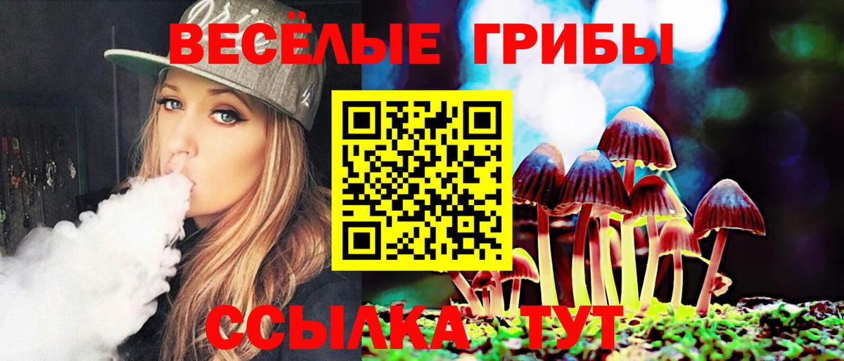 Псилоцибиновые грибы Psilocybine cubensis Волжск