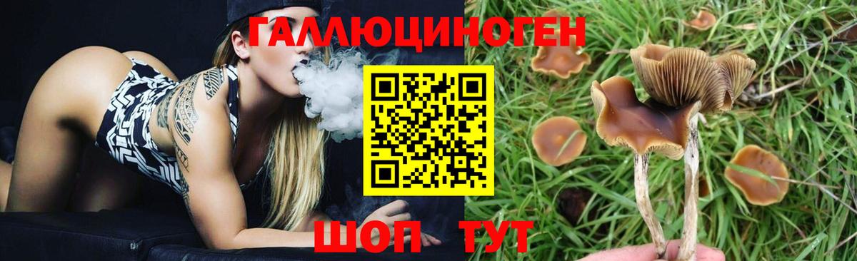 COCAIN  Меф МЯУ МЯУ кристаллы  Кокаин  ГАШ  Альфа ПВП СК   Мефедрон   Волжск  Канабис 