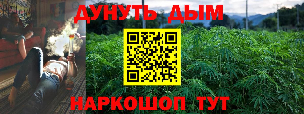 Каннабис конопля Волжск